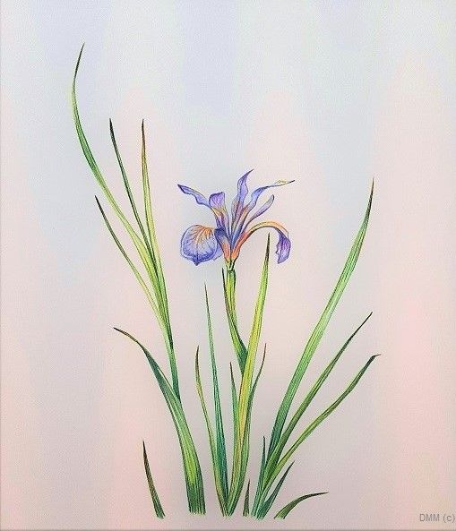 Floral rises and Long Leaves Watercolor 8x12