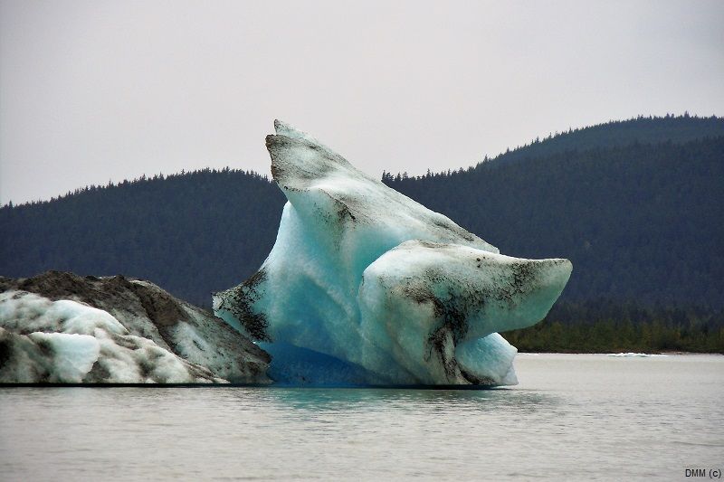 Photo Scenic Alaska Tracy Arm