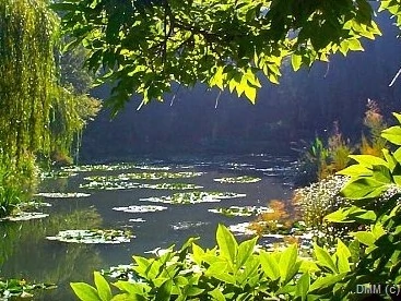 Peaceful morning in France Giverny's Monets garden photo